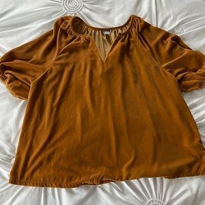 Velvet Blouse